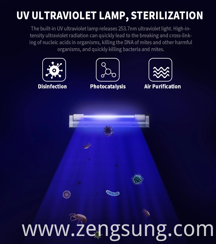 UV Lamp